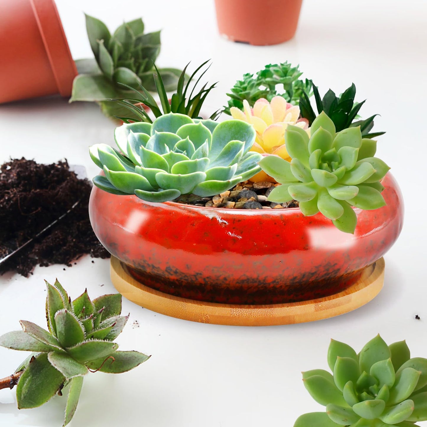 LIDSCURA 7.4 inch Ceramic Bonsai Pots with Trays Shallow Planters, Succulent Planters with Drainage Hole, Round Large Shallow Pots, Bonsai Pots Garden Decorative Cactus Stand Flower Container (Red)