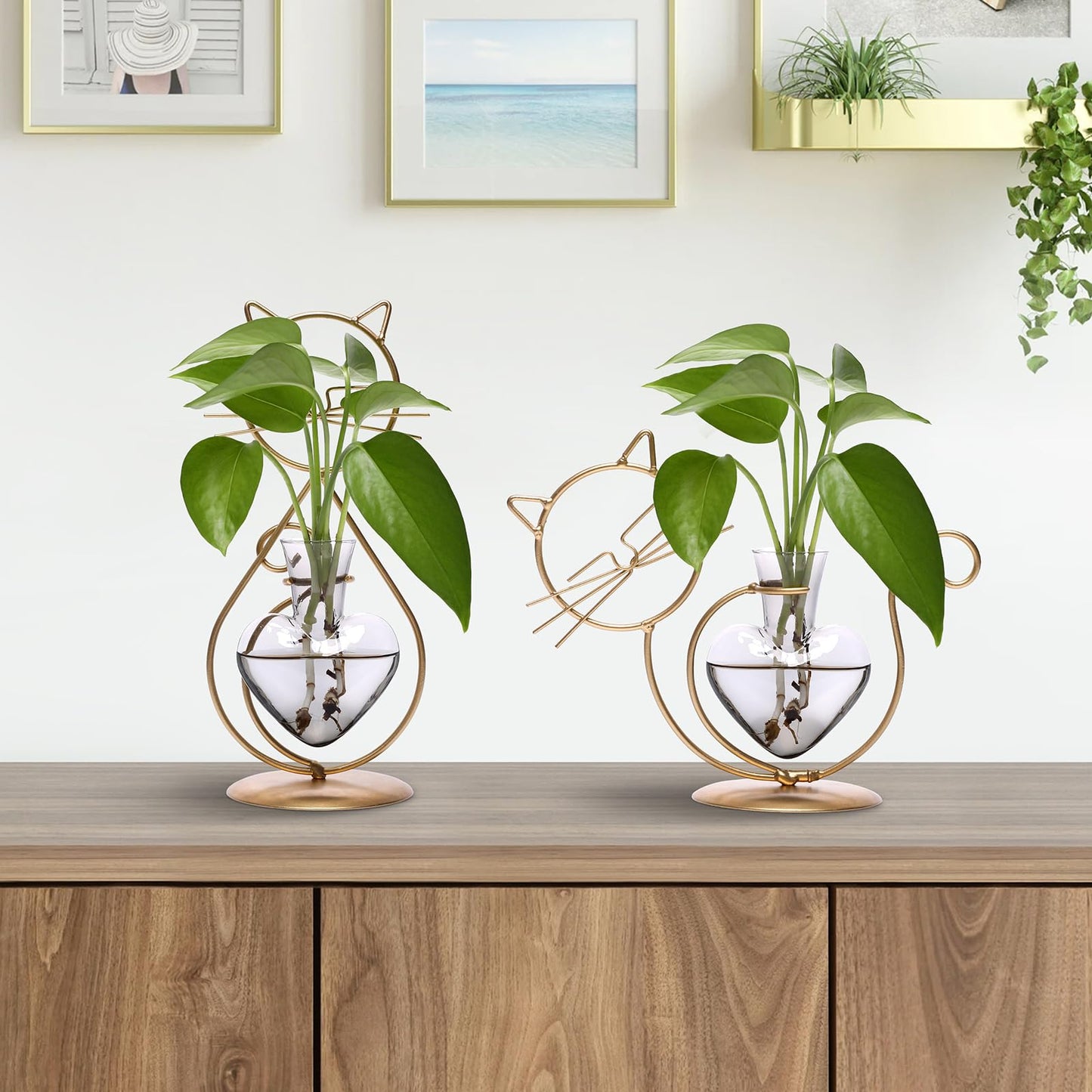 Plant Terrarium Plants Propagation Station Cat Lover Gifts for Women Home Office Decor Cat Desk Accessories