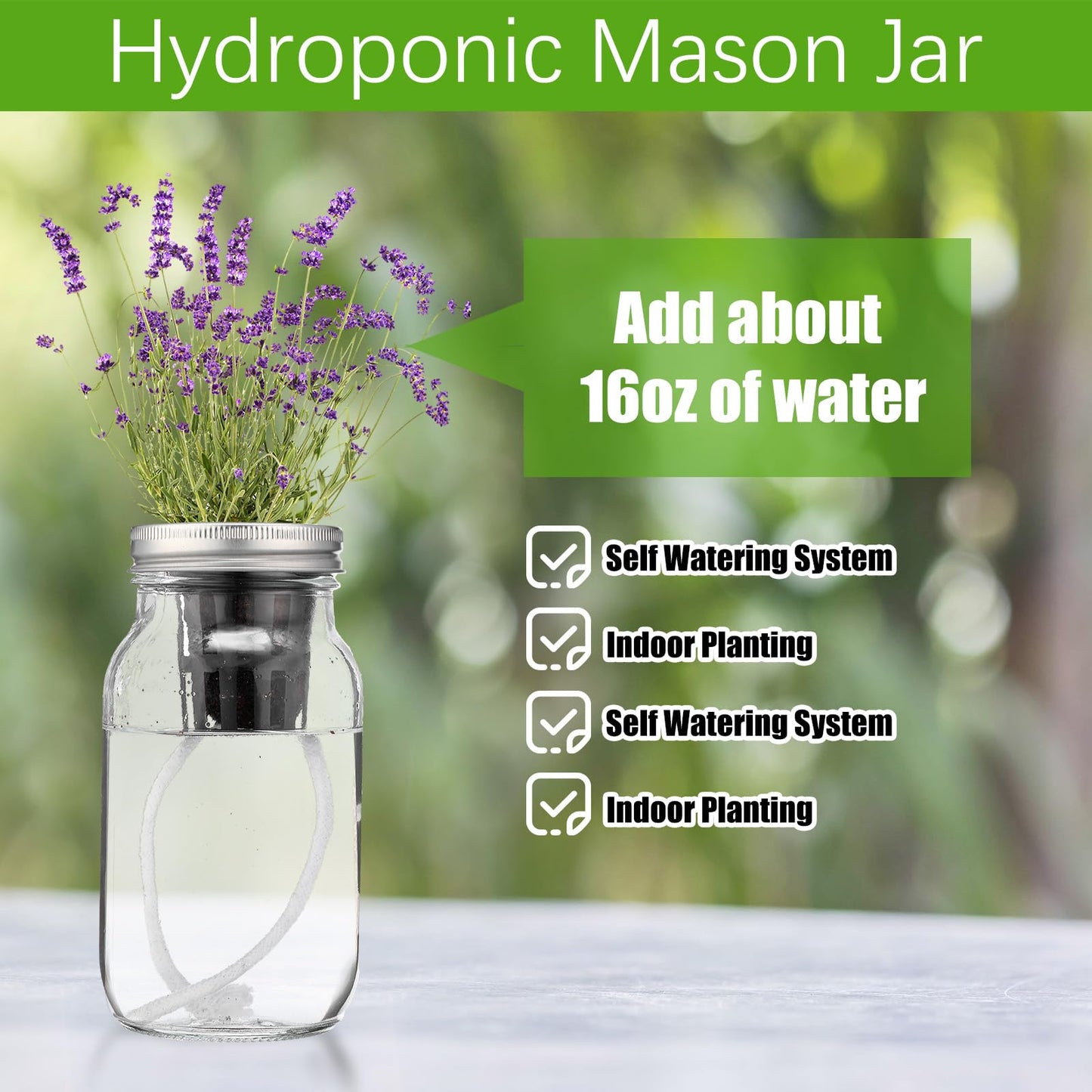 Teenyyou 6 Set Hydroponic Mason Garden Jar Kit Self Watering Herb Hydroponic Planter Starter Kit with Net Pot Garden Flower Plant Growing Gift for Indoor Herbs Windowsill Gardening