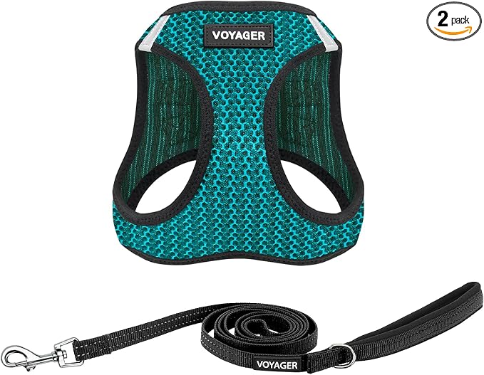 Best Pet Supplies Voyager Step-in Air All Weather Mesh Harness and Reflective Dog 5ft Leash Combo with Neoprene Handle, for Small, Medium and Large Breed Puppies - Set (Turquoise 2-Tone), X-Small