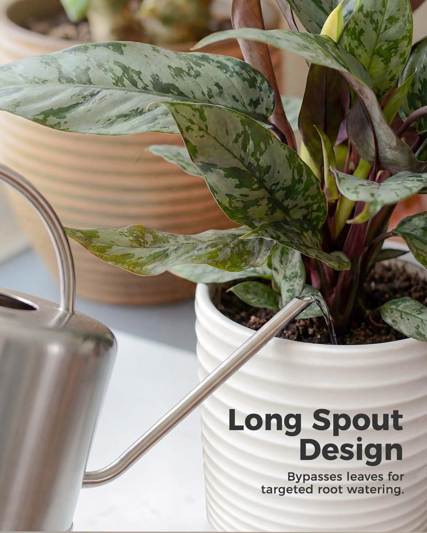Bamworld Metal Watering Can for Indoor Outdoor Plant 1L/35oz Silver Stainless Steel Watering Can with Long Spout for House Potted Plants Succulents Bonsai Garden Flowers