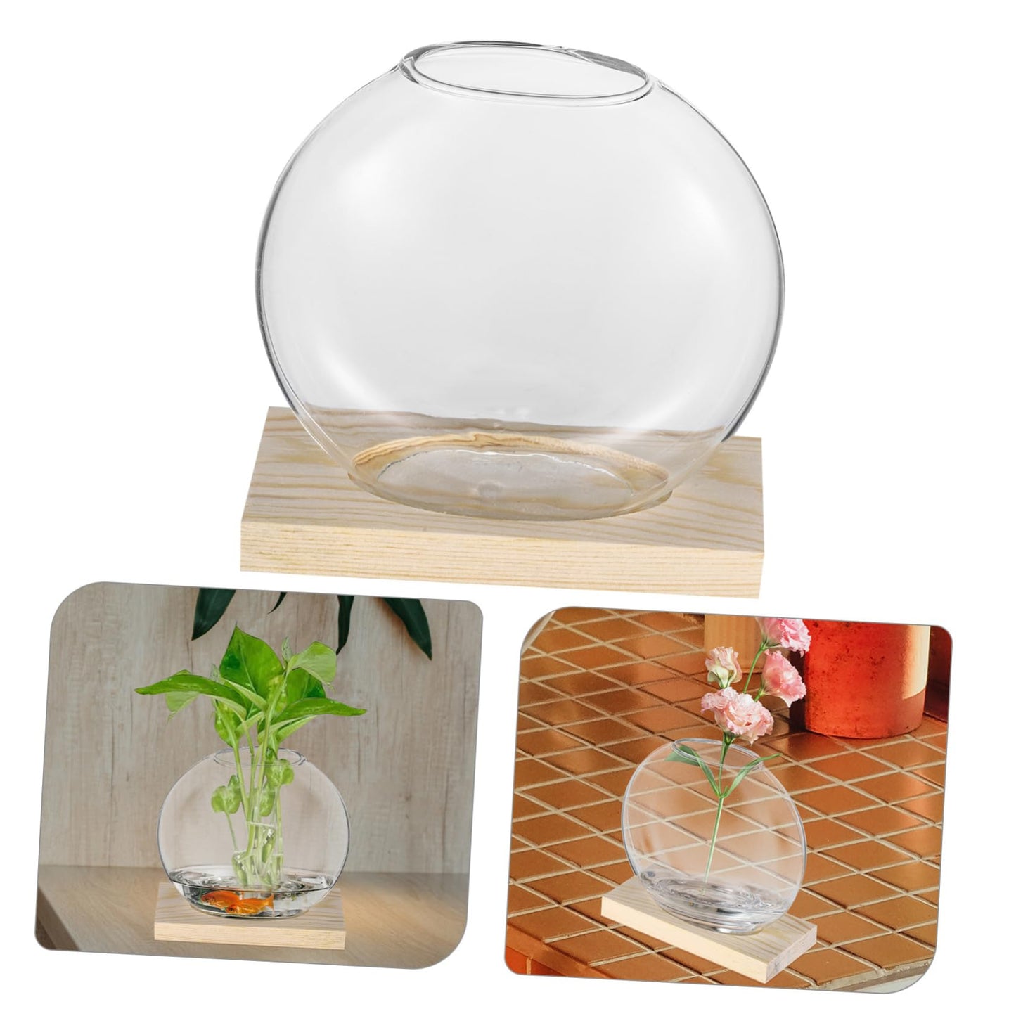IWOWHERO 2sets Desktop Glass Planter Clear with Base for Hydroponic Plants Decorative Terrarium for Home Office for Small Greenery Floral Displays