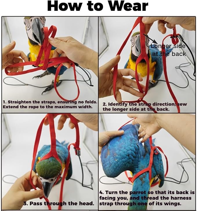 Adjustable Bird Harness and Leash for Parrots Outdoor Flight Training Anti-Bite Light Weight Easy-to-Wear Bird Vest with 59 Inch Elastic Leash for Quaker Conure African Grey Macaw Cockatoo (XL)
