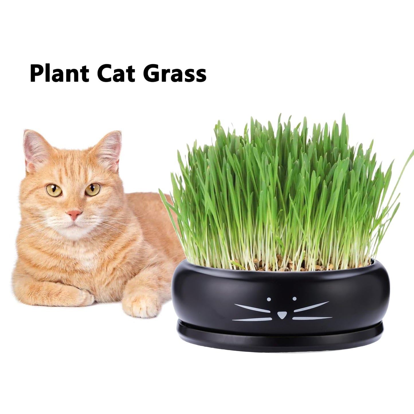 Koolkatkoo 8 Inch Cat Ceramic Succulent Planter Pot with Drainage Hole and Tray Flower Pot for Indoor and Outdoor Plants Round Shallow Planter Gifts for Cat Lovers Black