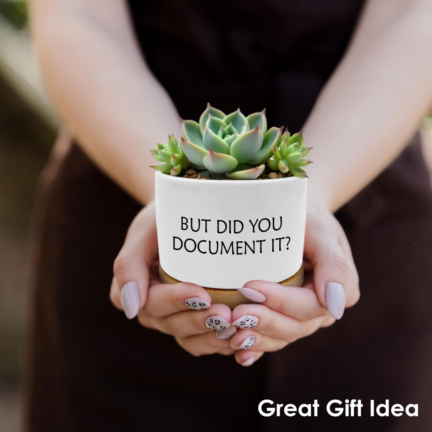ROXMART But Did You Document It Funny Plant Pots, Funny Office Gifts Succulent Planters, Sarcastic Gifts for Women Men Coworker Ceramic Plant Flower Pots for Home Office Desk Table Shelf(No Plants)