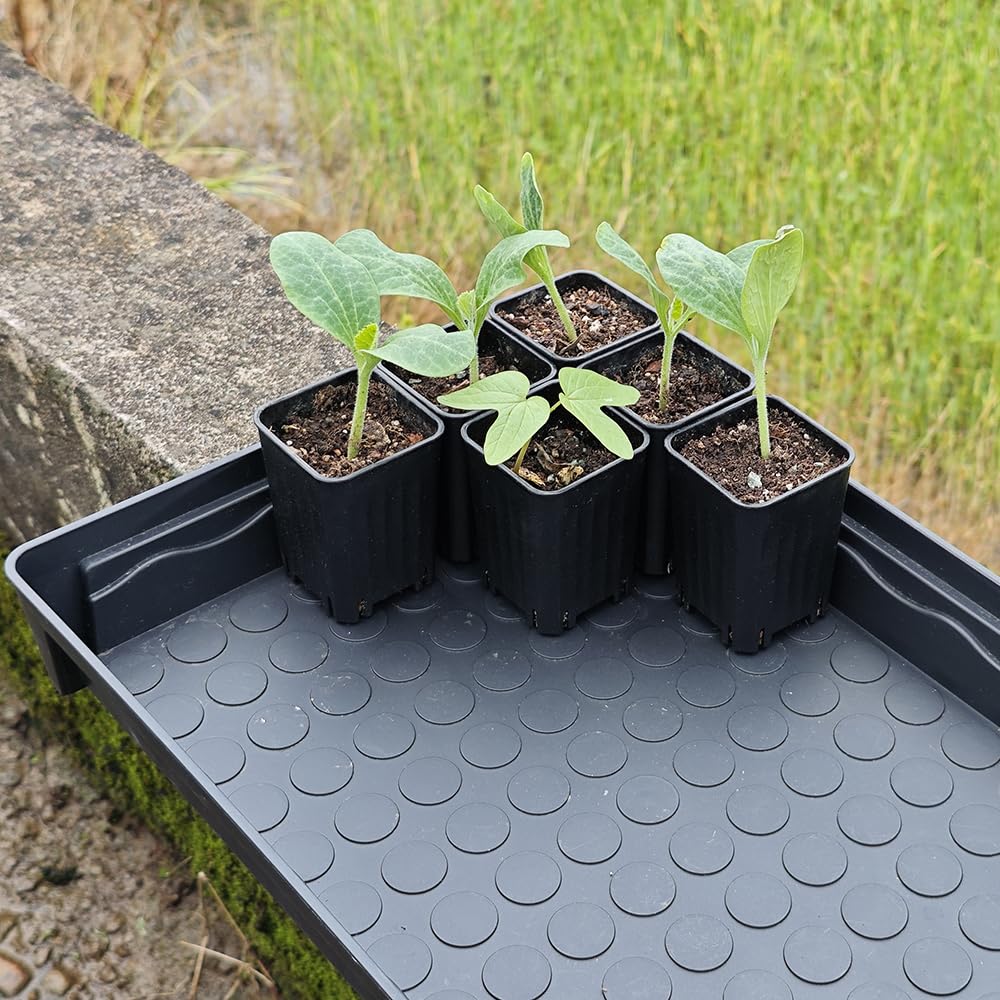 BangQiao 120 Pack 2.40 Inch Small Black Plastic Square Nursery and Seedling Pot, Deep Transplant Seed Starter Planter with Drain Hole for Germination, Herb, Succulent