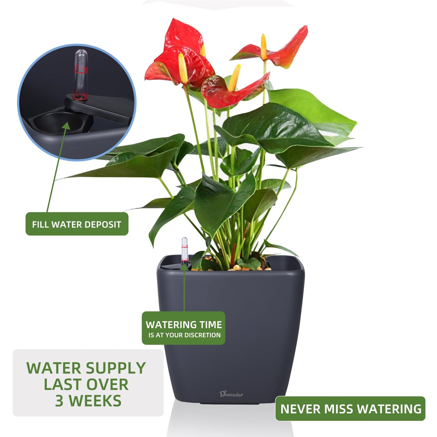 Dexceder 9x8 Self Watering Planter Indoor Outdoor, Inner Mat Design, Thickened Table Flower Plant Pot with Water Level Indicator (Slate Gray Matte)