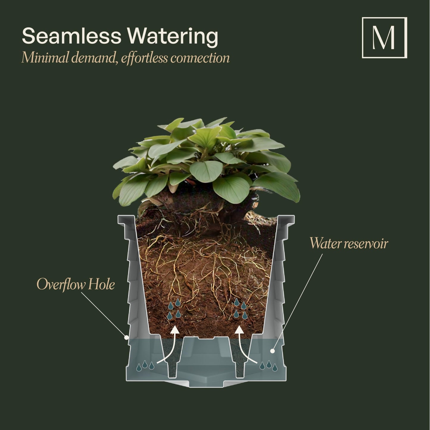 Mayne Lakeland 20-Inch Square Planter – Self-Watering, Weather-Resistant Planter for Flowers – Durable Outdoor Design for Patio, Porch, or Entryway