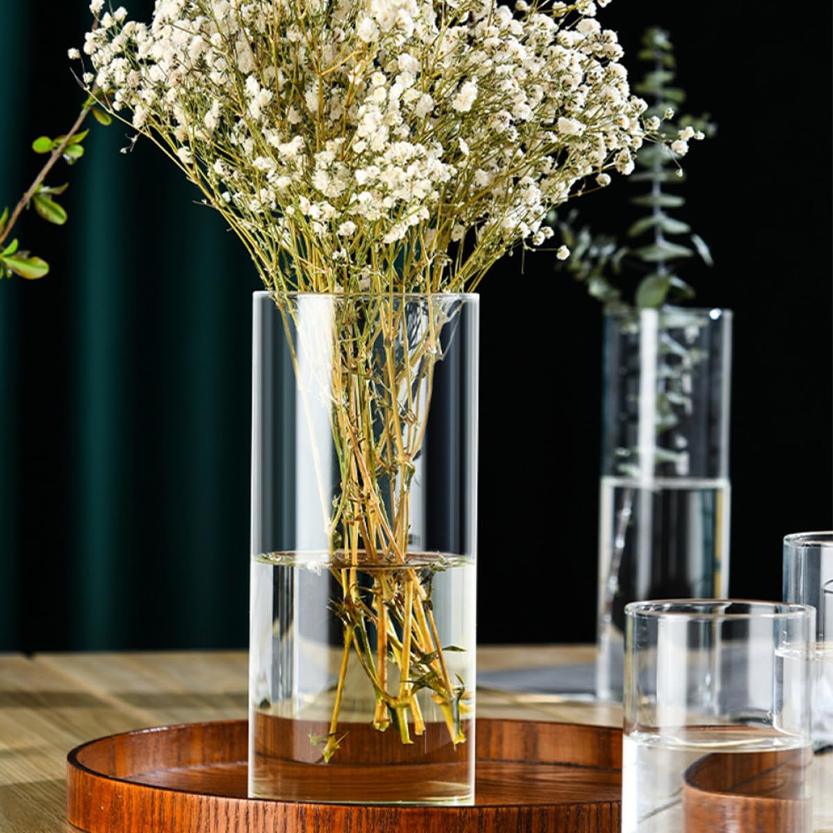 VALICLUD Glass Cylinder Vase 10x25cm High Borosilicate Hydroponic Flower Vase Decorative Glass Terrarium for Indoor Plants and Flower Arrangements