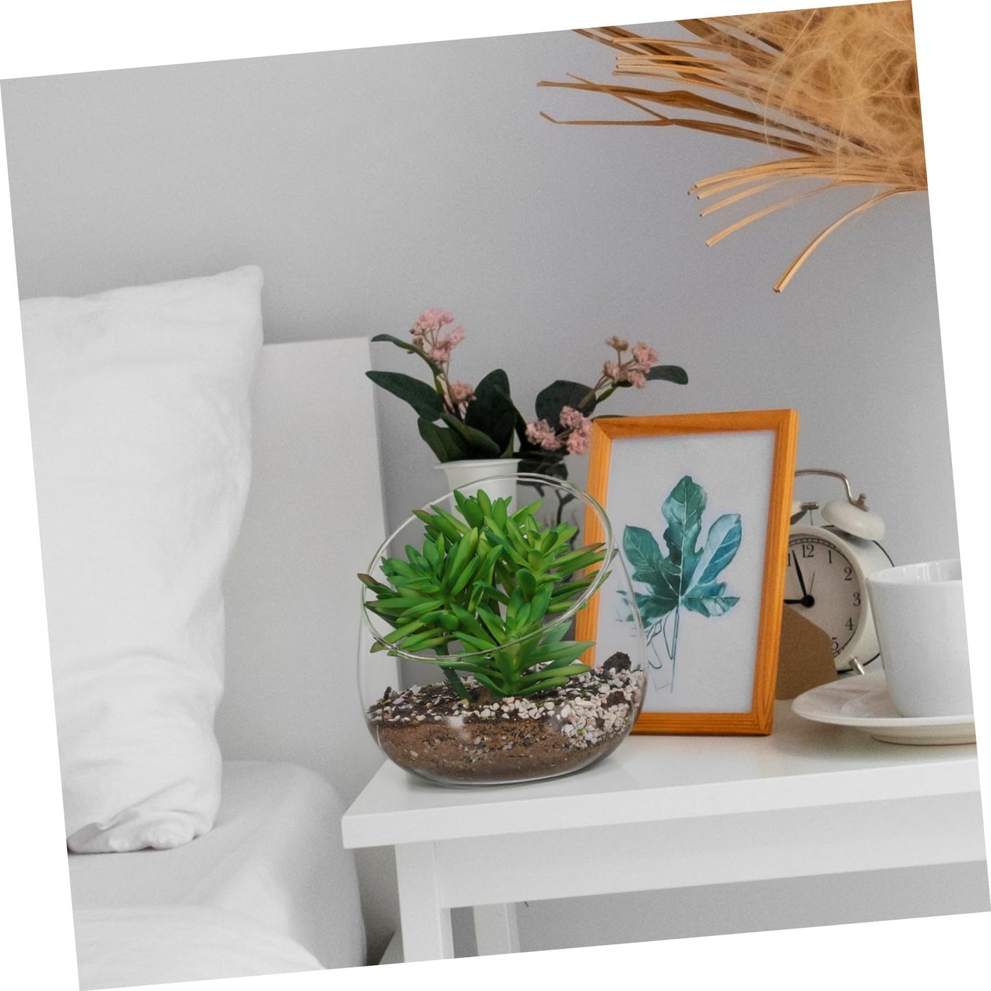 Abaodam 1Pc Transparent Succulent Bottle Decor Micro Landscape Glass Bottle for Home Store for Air Plants Moss Terrariums Elegant Decoration for Space