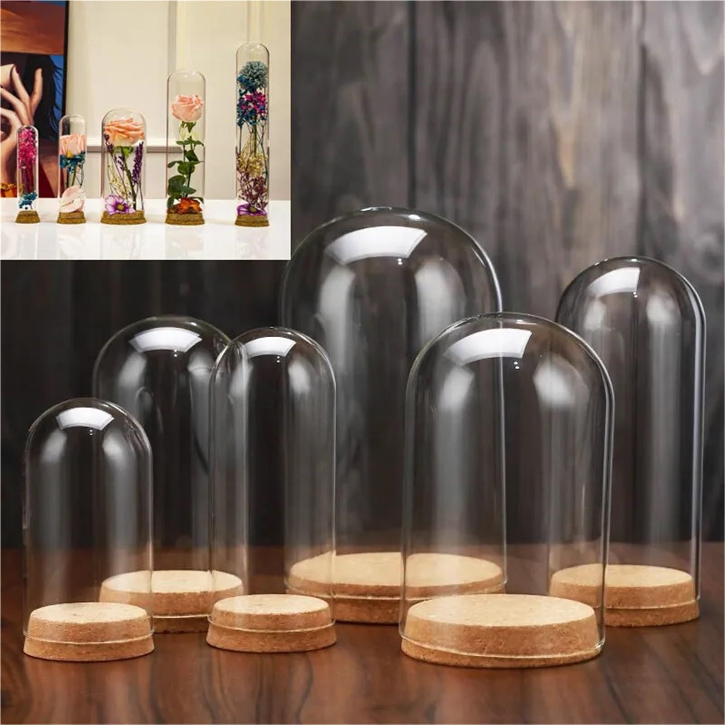 10X Da30mm Glass Bottle Terrarium Jar Cork Base Dome Dust Cover DIY Specimen Succulent Plant Micro Landscape Flower Vase Display(30x100cm)