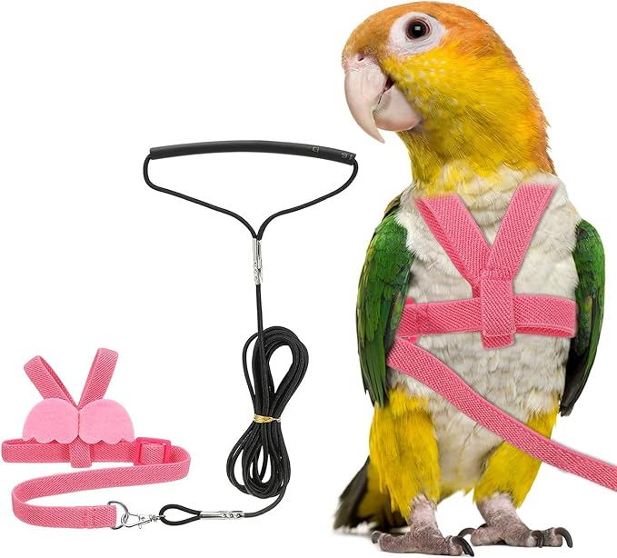Bird Harness Leash, Adjustable Pet Parrot Bird Harness and Leash Lightweight Anti-Bite Flight Training Rope with Cute Wing, (Pink, M), Intended for Parrots/Pigeons/Budgies