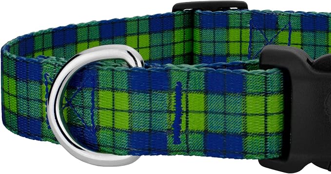 Country Brook Petz - Blue and Green Plaid Everyday Dog Collar and Leash - Plaid and Argyle Collection Featuring Charming Designs (5/8 Inch, Small)