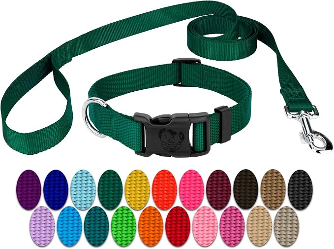 Country Brook Petz - Everyday Nylon Dog Collar and Leash - 10+ Cool Colors (3/8 Inch, Extra Small, Green)