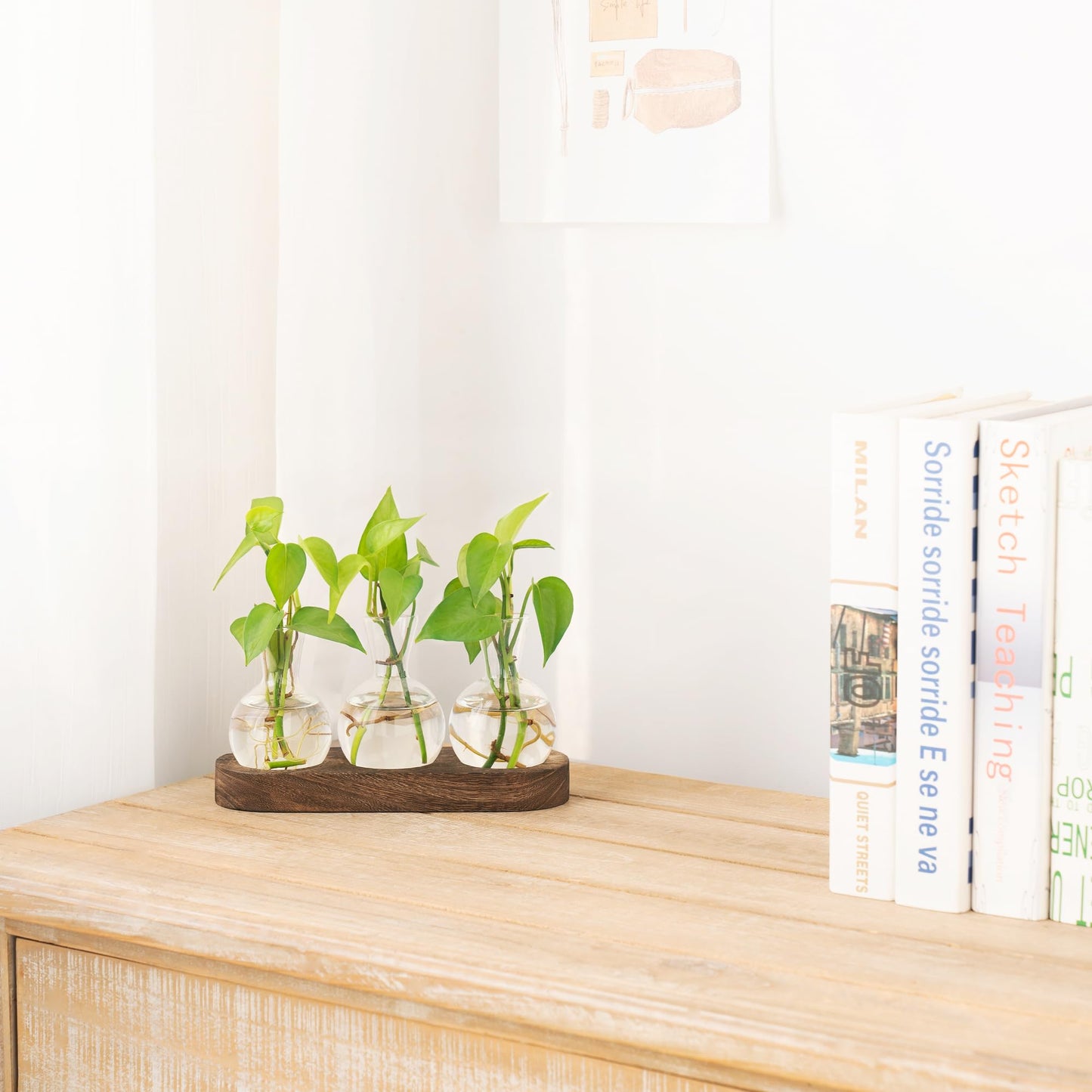 Mkono Desktop Plant Propagation Station Glass Planter Terrarium with Wooden Tray Bulb Flower Vase Perfect for Propagating Hydroponic Plants Home Office Decor Plant Lover Gift Idea