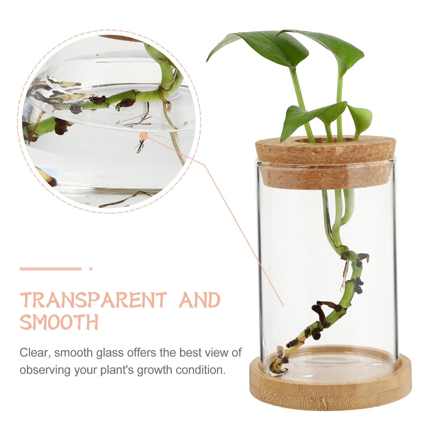 jojofuny 2pcs Glass Planter Vases for Hydroponics Plants 6.5x10in Desktop Terrarium with Stand Set for Home Office Gardening