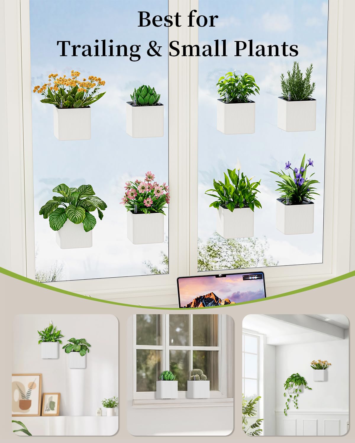 Pawfly 2 Pack Self-Watering Wall Planters for Indoor Plants, 5.5" x 5.5" x 5.3", Wall Plant Holders Plant Hanger Indoor, Wall Hanging Planters for Indoor Plants, Hanging Plant Pots Flower Pots