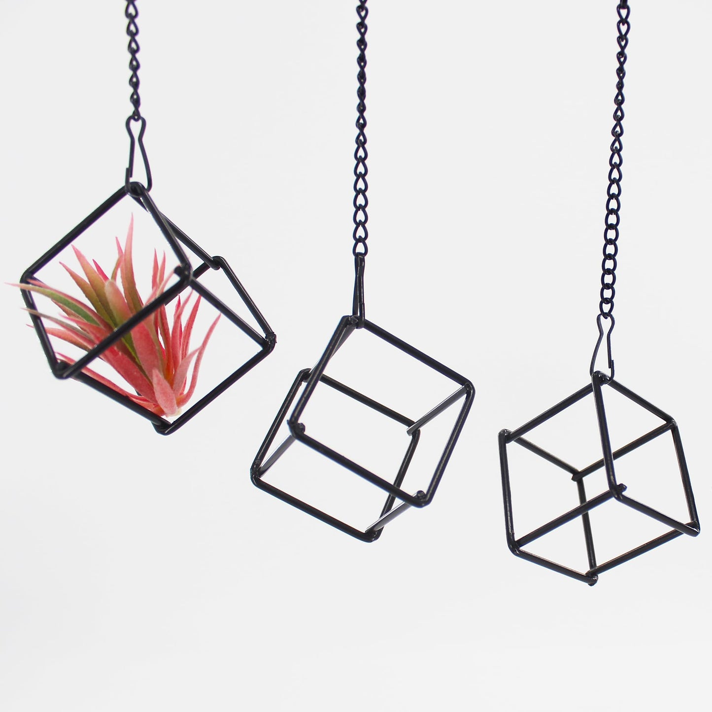 6 Pack Metal Hanging Air Plant Holders - Geometric Black Cube Tillandsia Hangers with Long Chains, Wall or Ceiling Mount for Small Air Plants, Home & Office Boho Decor (Individual or Combined Use)