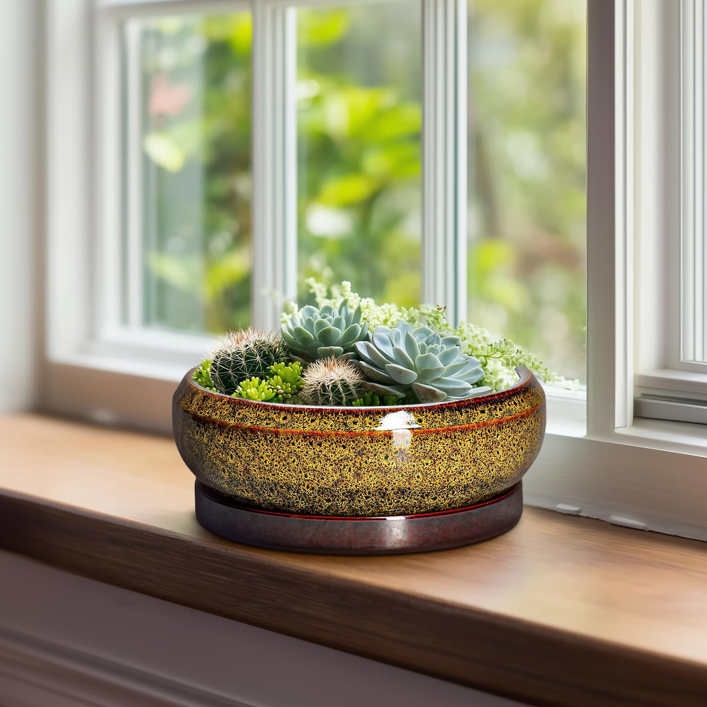 EPFamily Succulent Planters 8 Inch - Ceramic Bonsai Pots with Drainage Hole and Tray, Shallow Plant Pot Indoor Outdoor, Round Succulent Pots, Planter Bowl, Porch Decor, Housewarming Gifts, Yellow