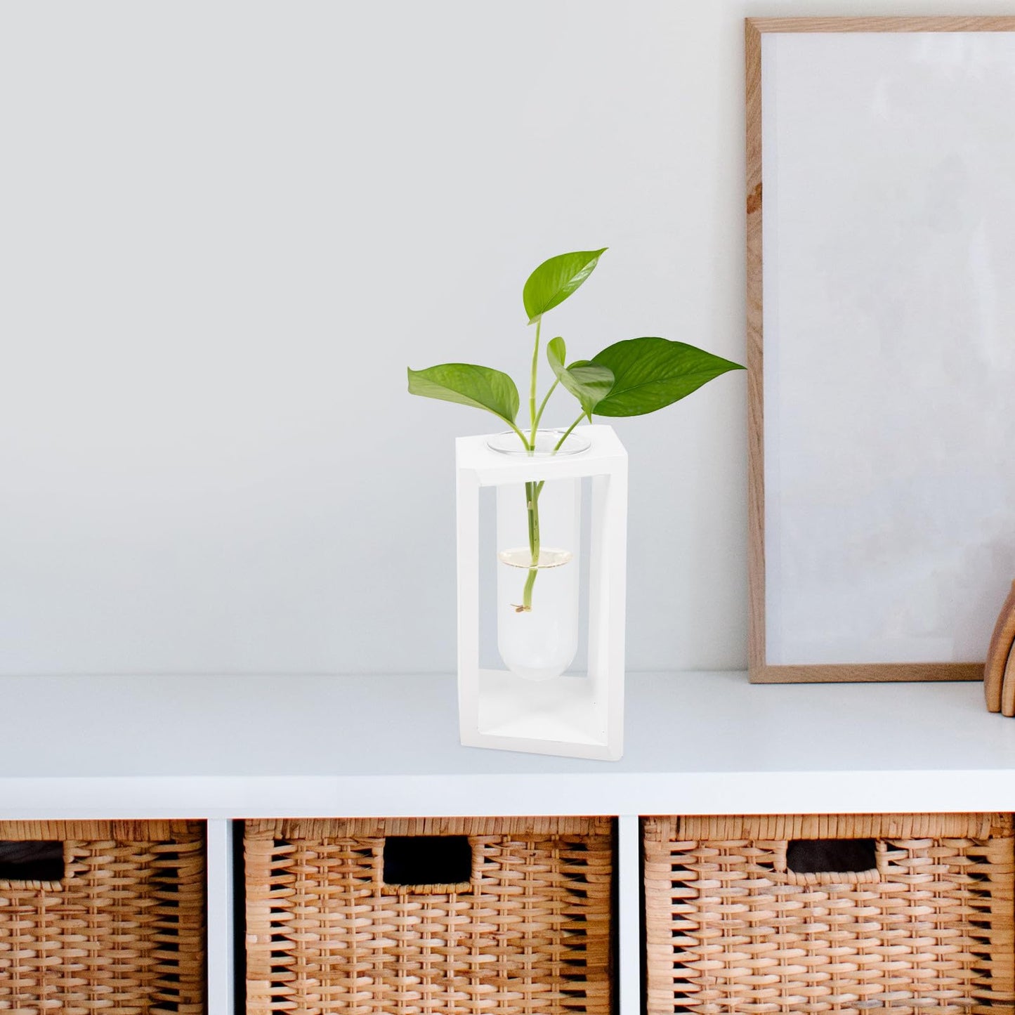 DOITOOL Test Tube Plant Vase with White Wooden Rack, Small Glass Propagation Terrarium Container for Indoor Hydroponic Plants and Home Décor