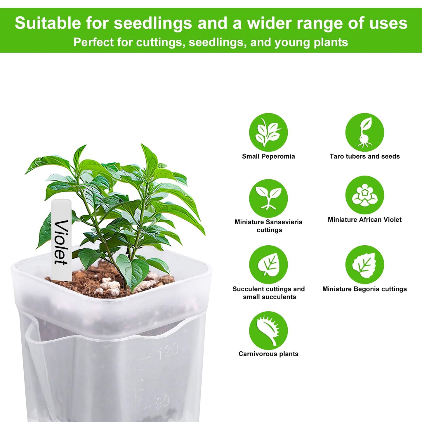 Goktvai 10pcs 2in/5cm Mini Self Watering Pots with Plant Labels and Wick, Clear Plastic Planters with Drainage Holes Water Level Indicator for Indoor Plants Alocasia Corm Propagation Sowing