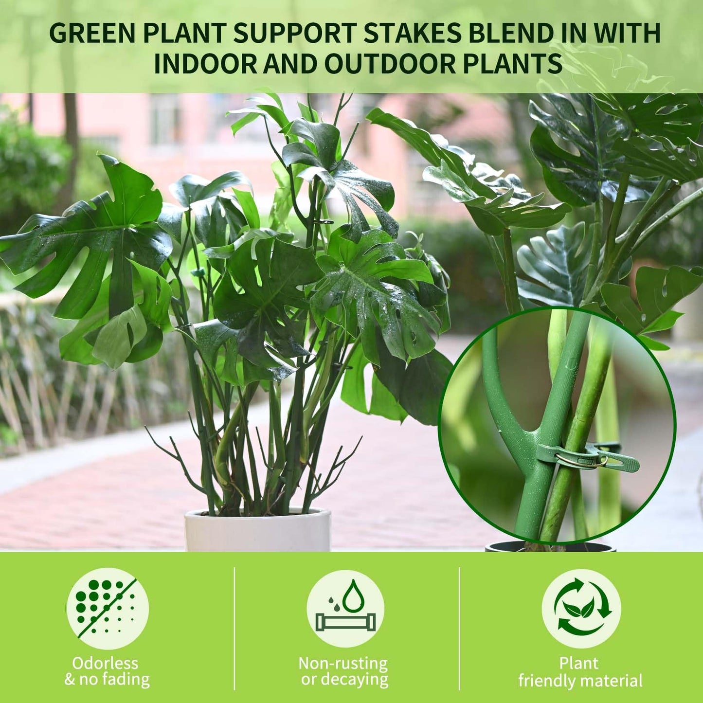 Yhtpouqe 9 Pack Green Plant Support Stakes Plant Stakes for Indoor and Outdoor Plants. 39.37inch Plant Sticks with Extension Poles, Plant Clips,Plant Ties for Potted Monstera Plants, Climbing Plants
