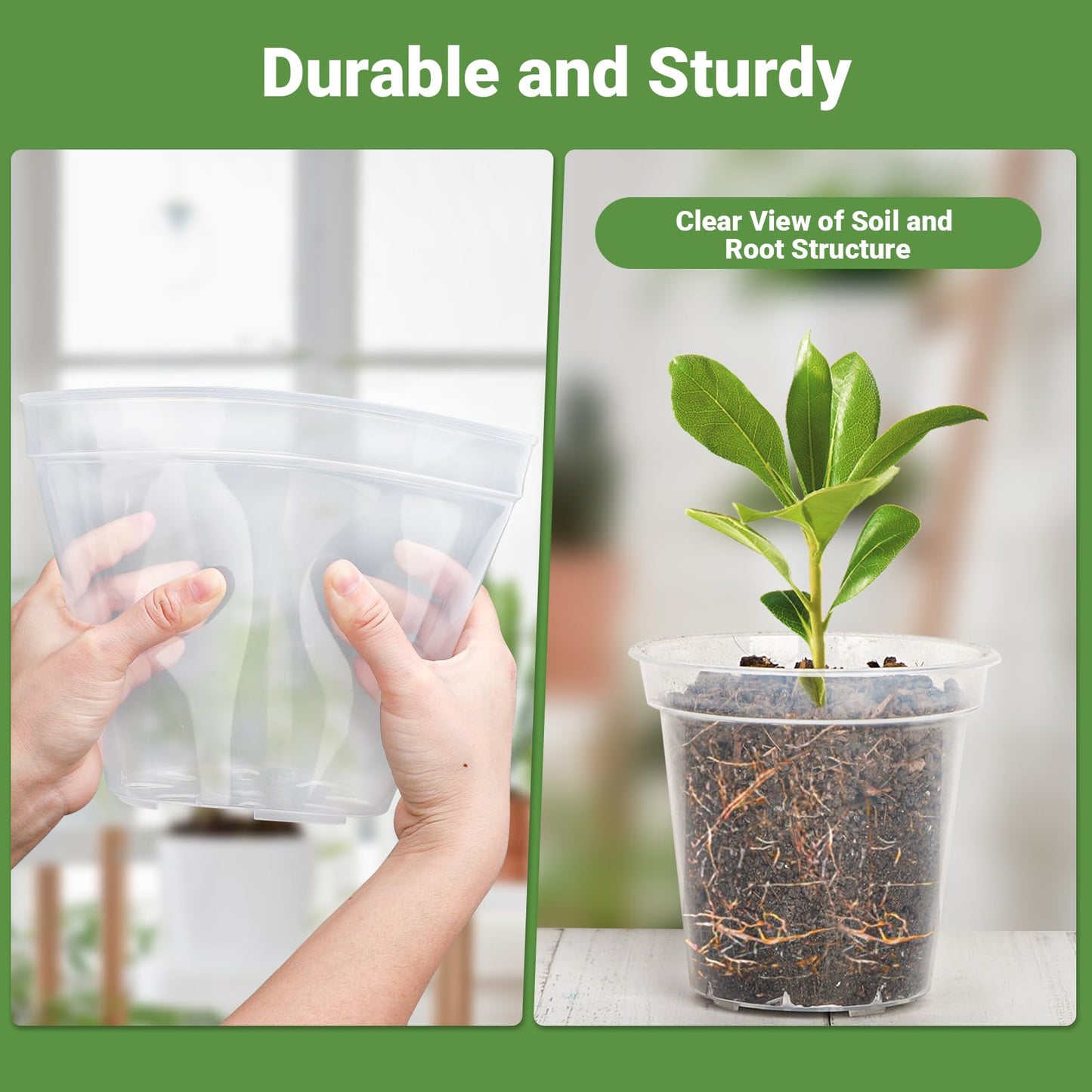 GREANER Clear Nursery Pots, Plastic Plant Pots with Drainage for Succulents, Flowers and Cactus, 3/4/5/6/7 Inch(Pack of 30)