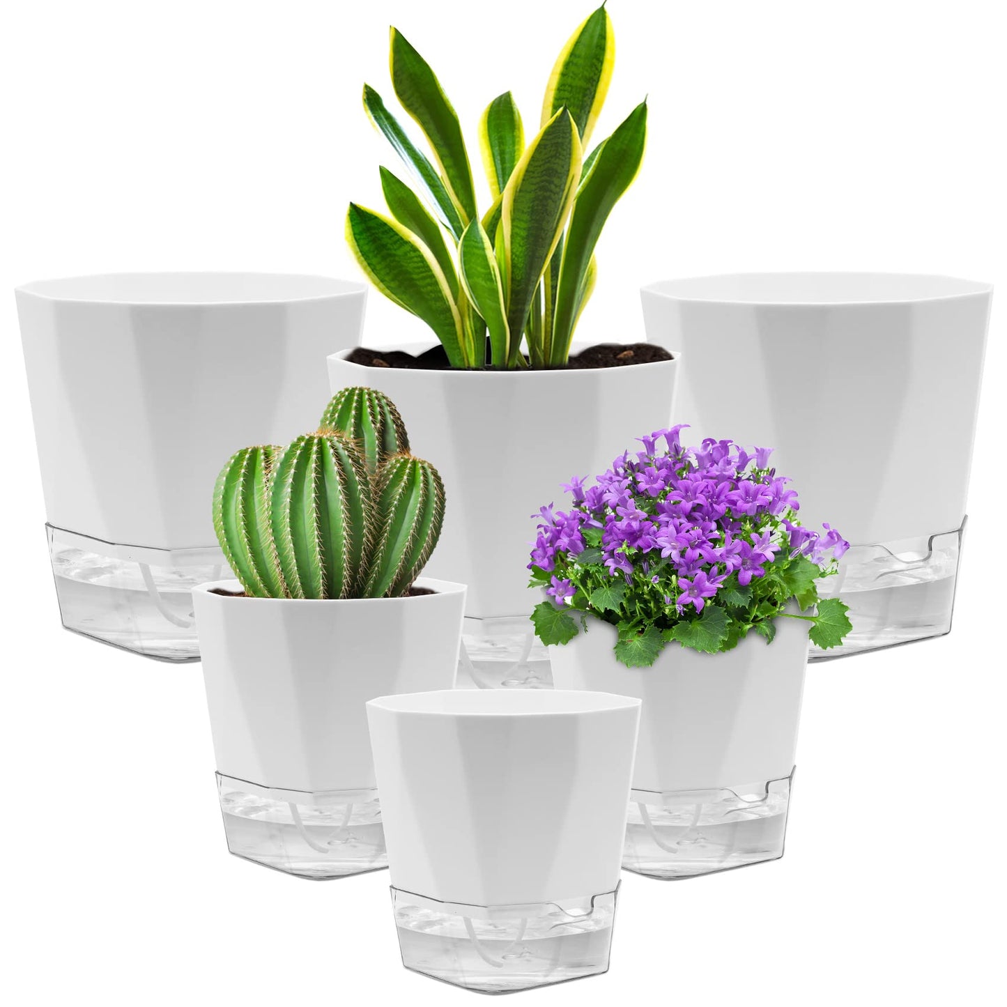 GearRoot 6 Pack Self Watering Planters Pot, 6.6/5 inch Plant and Flower Pot, Decorative Self Watering Pots for Indoor Plants African Violet Wicking Pots, Succulents, Aloe, Herbs