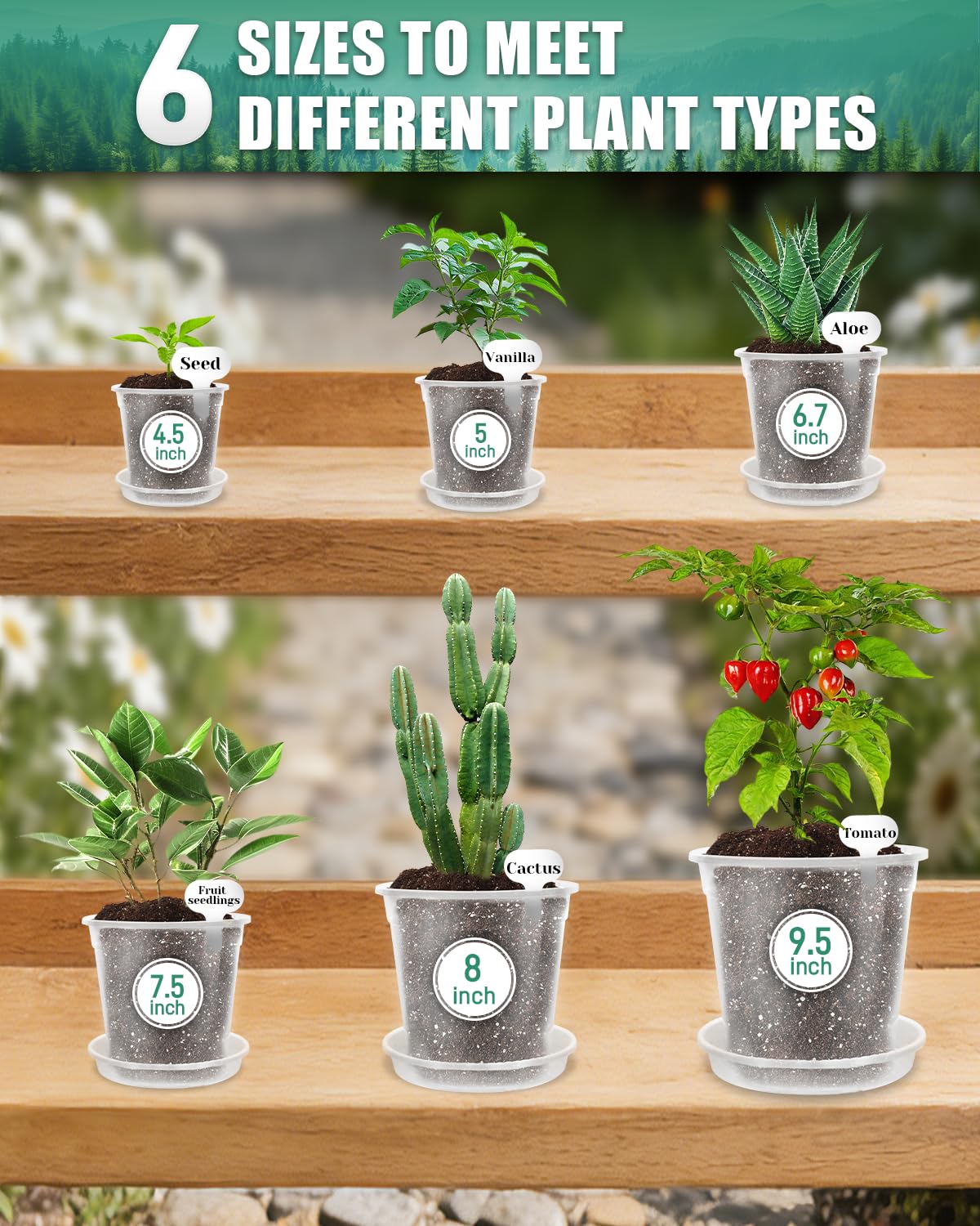 Biotolot 6 Pack Clear Nursery Pots with Drainage 9.5/8/7.5/6.7/5/4.5 Inch Nursery Pots with Saucers Transparent Seedling Pots Including Plant Labels Seed Starting for Indoor Outdoor Home Gardening
