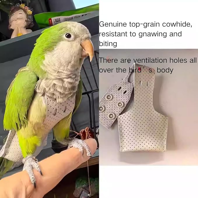 Premium Genuine Cowhide Bird Flight Harness Anti Bite Breathable Parrot Diaper Parrot Suit with Leash for Parakeet Conure Quaker Flying Clothes Rope and Handle (with Leash,XX-Large)