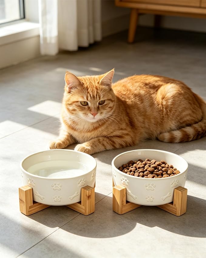 Small Dog Bowls with Stand, 5.5 inch Ceramic Dog Food Water Bowl Set for Small Dogs Puppy Cats Pet Feeding Dish, White with Cute Pattern