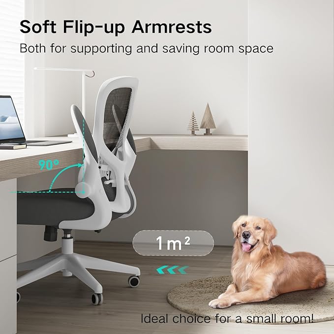Hbada Office Chair Ergonomic Desk Chair, Office Desk Chairs