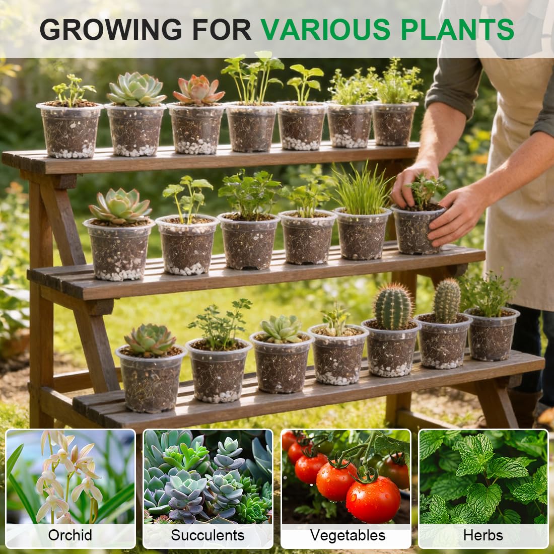 RooTrimmer 200 Pack 4 Inch Clear Plant pots with Drainage Holes, Transparent Nursery Seeding Pots, Flexile Seeds Starter Pots, Seeds Germination (4Inch,200P,Clear)