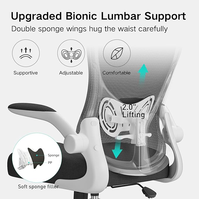 Hbada Office Chair Ergonomic Desk Chair, Office Desk Chairs
