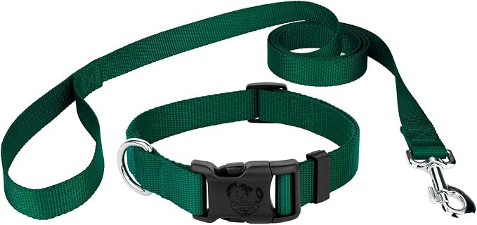 Country Brook Petz - Everyday Nylon Dog Collar and Leash - 10+ Cool Colors (3/8 Inch, Extra Small, Green)