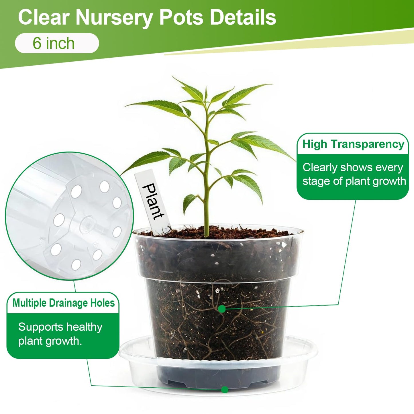 Amasiver 6 Inch Clear Nursery Pots for Plants,Transparent Plant Pots with Drainage Holes & Saucers,Seed Starter Pots with 15 Plant Labels,Clear Plastic Flower Pots for Indoor Outdoor
