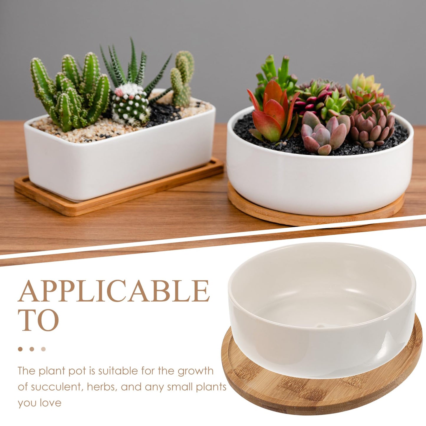 Toddmomy Ceramic Flowerpot Indoor Plant Pot Mini Bowl Planter Succulent Houseplant s Small Bonsai s Funny Plant s Ceramic Bonsai Planter White