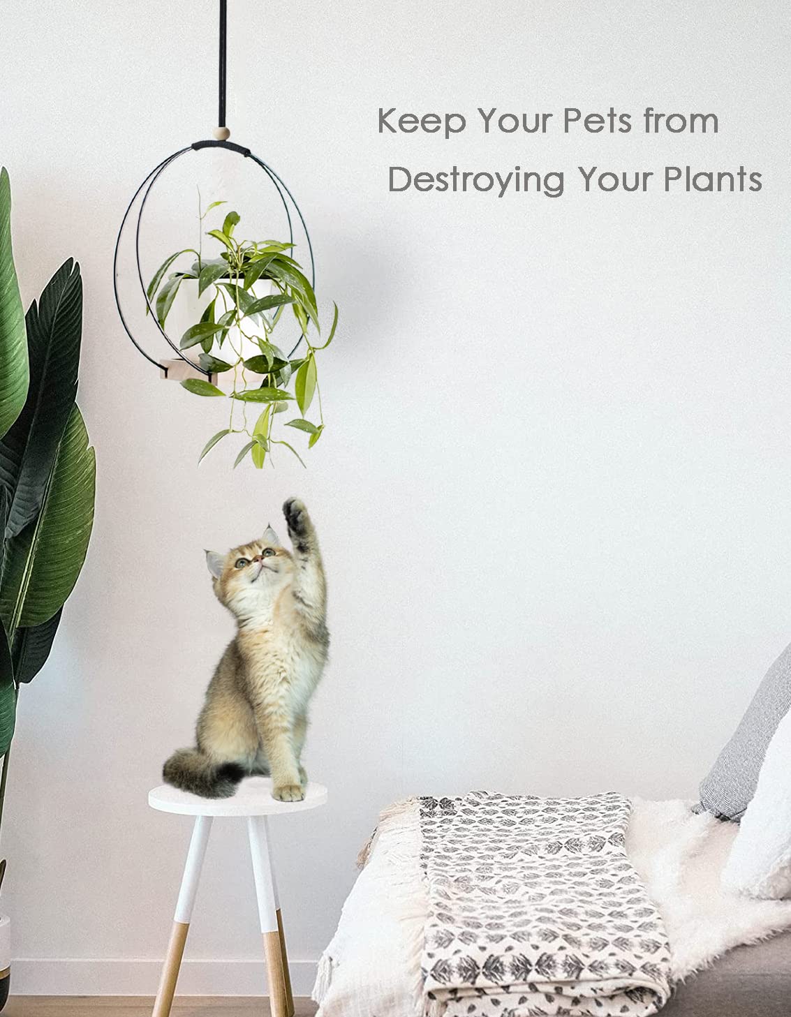 Dravmola Plant Hanger with Wood Base - Boho Macrame Hanging Plant Holder for Indoor Plants Hanging Planter for Wall /Window/Room Decor Black (Pot & Plant Not Included)