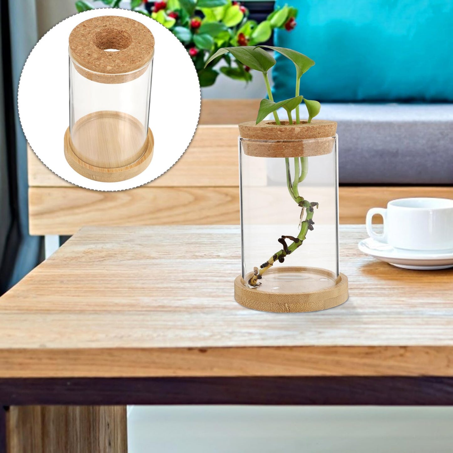 LOORGVEL 2pcs Hydroponics Plant Terrarium Glass Vases with Stand 6.5x10cm Desktop Water Planting Container for Office Home Decoration