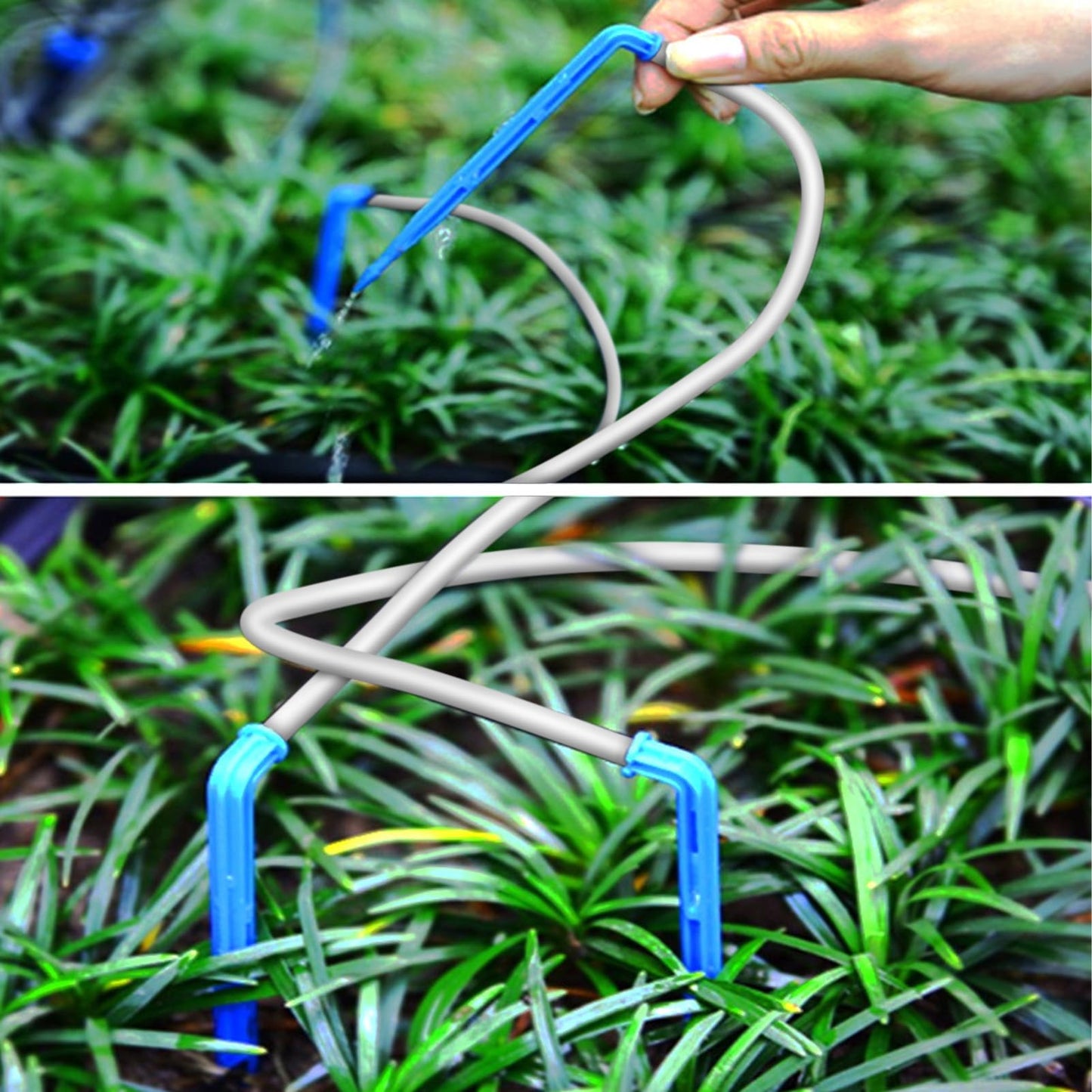 ZJchao Smart Drip Irrigation System Kit, Automatic Plant Waterer for 10 Potted Plants with 12 Tee Connectors 10 Drippers 1 Filter 10m Hose, 400ml min Flowrate IP65 LED Display (BSV-IC201)