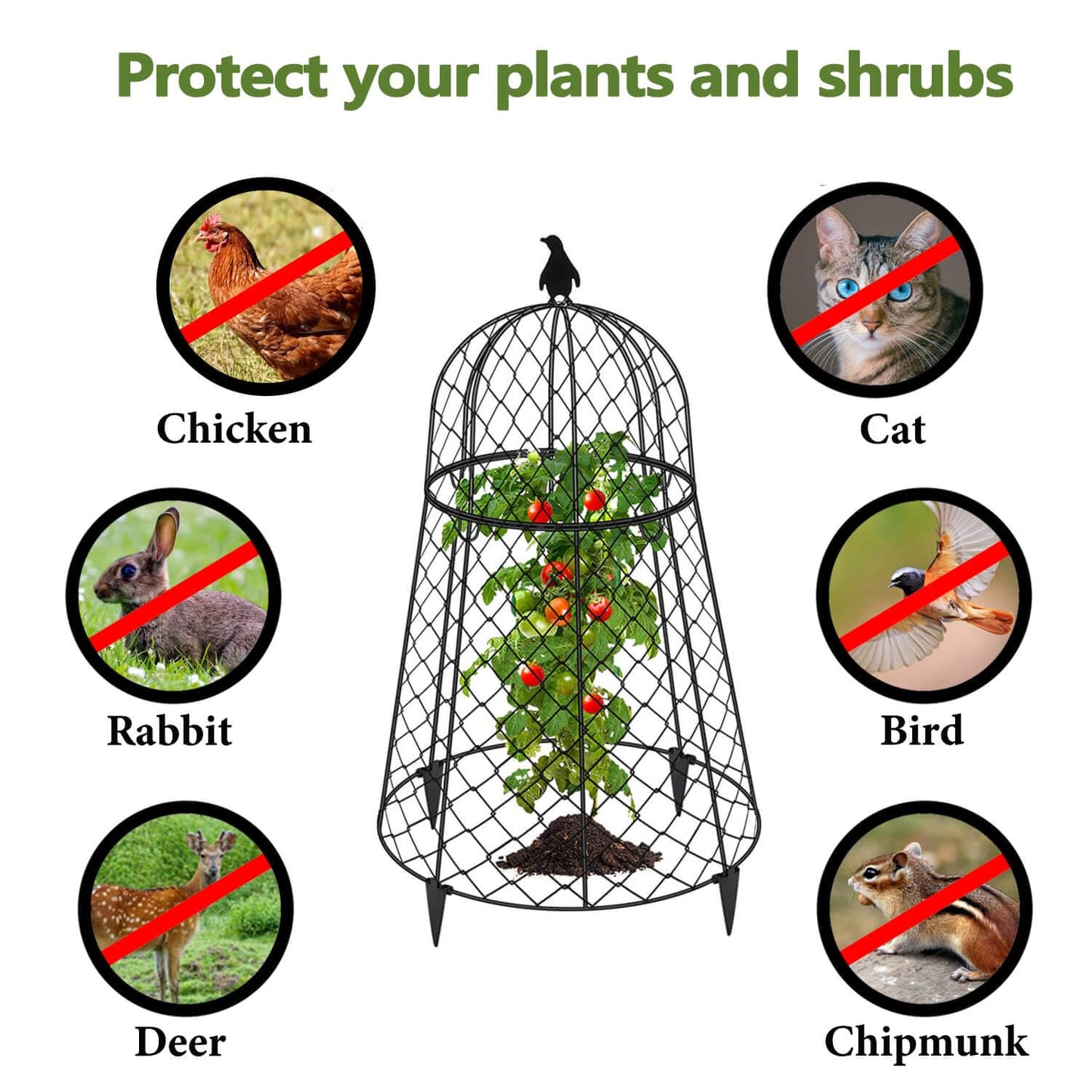TAOMENNI Garden Cloches for Plants, Chicken Wire Cloche, Plant Cloche and Cages, Wire Plant Protectors from Animals, Protection for Your Plants and Seedlings, Heavy-Duty, 13" D x 20" H, Pack of 6