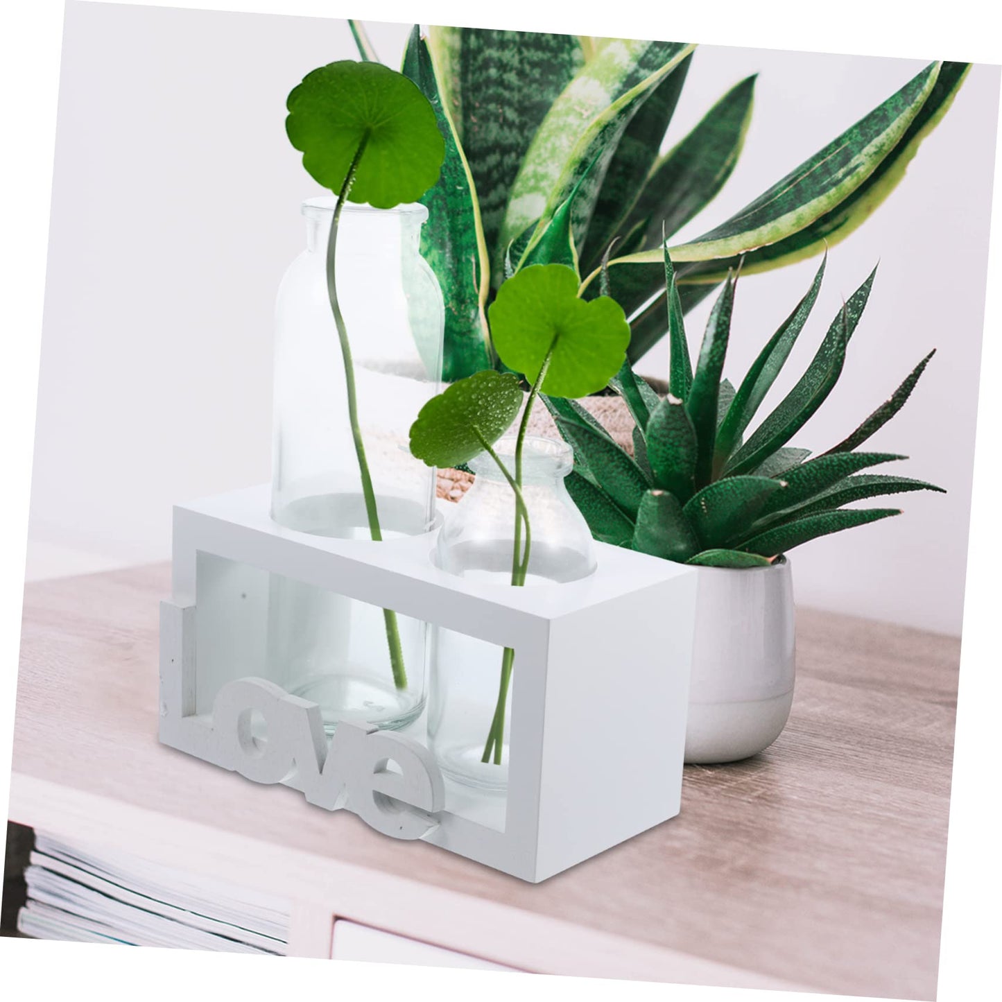 VICASKY Glass Terrarium Vase with Wooden Stand for Hydroponic Plants Modern Desktop Decoration Indoor Water Planter for Flower Arrangements Stylish Home Decor