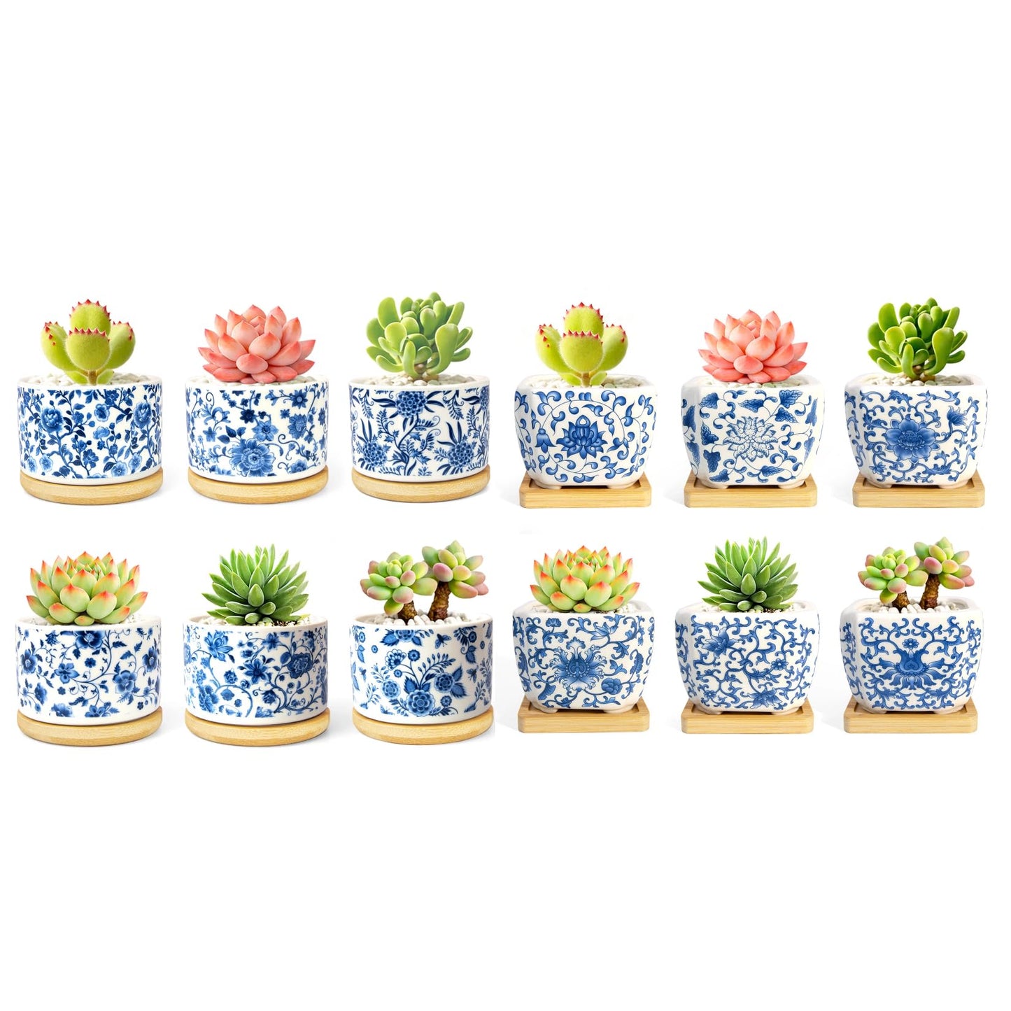 celamos Succulent Pots 6 Pack, Small Flower Pots with Drainage Bamboo Tray, Succulent Pots for Indoor Plants, Cactus Pots and Planters, Decorative Small Pots for Home Office