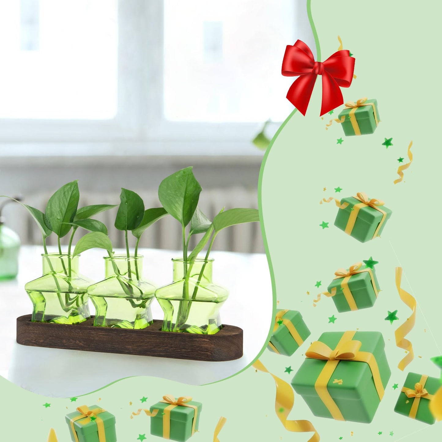 XXXFLOWER Plant Propagation Station with Wooden Stand，Air Plant Terrarium Starter Kits Star Vases for Flowers Plant Cutting Rooting Pots Indoor Hydroponic Glass Planter for Plant Lovers,3 Jars(Green)