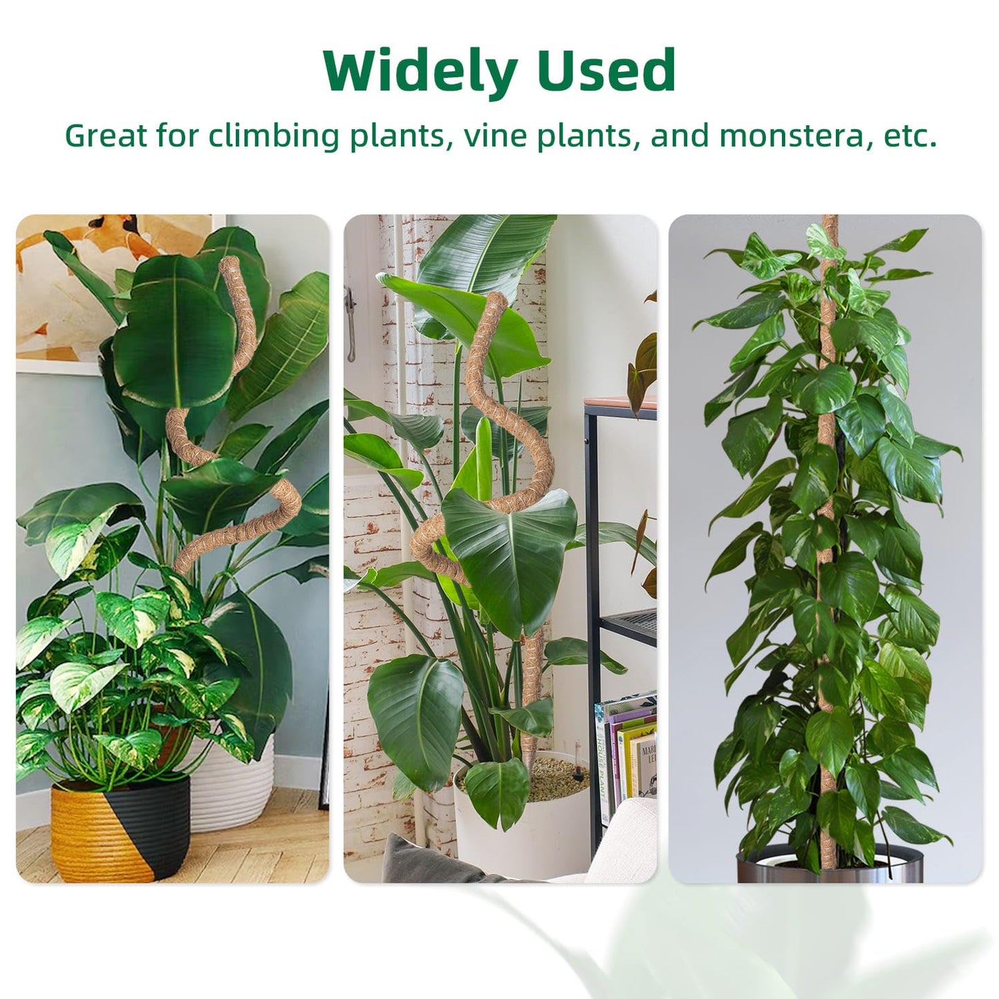 Mcbazel 63 Inch Moss Pole for Plants Monstera, Monstera Plant Support Stick, Bendable Moss Poles Plant Support Stick for Climbing Plants, Stick Support Stake Kit for Potted Plants, Pothos,Philodendron