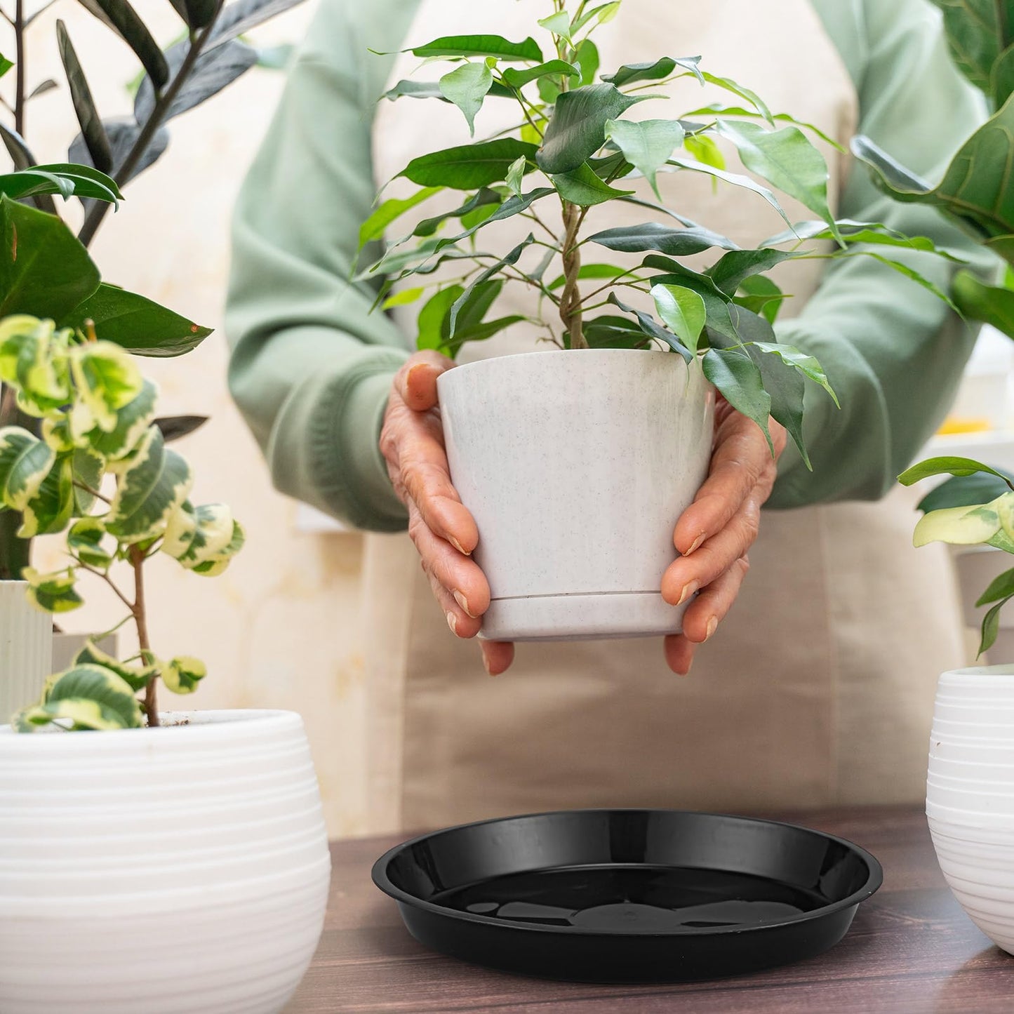 Eccliy 10 Packs 10 Inch Plastic Large Plant Saucers Heavy Duty Planter Trays Jumbo Flower Pot Saucers Plastic Water Trays for Indoors and Outdoors
