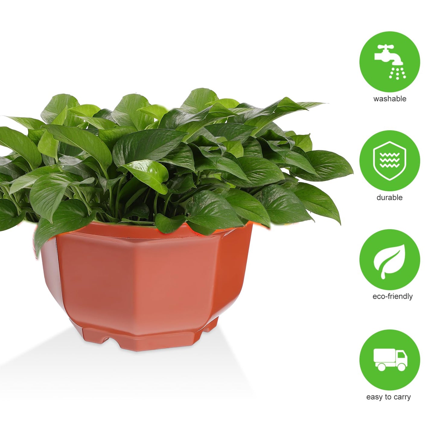 DOITOOL 10Pcs Plastic Hanging Planters, 6.29" Hanging Flower Pots Plant Basket Planter for Outdoor Indoor Plants Garden Balcony Decoration
