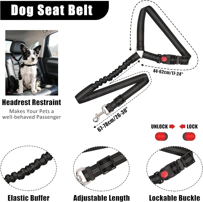 No Pull Dog Harness Adjustable Collar & Leash Set - Dog Halter Harnesses Collapsible Bowls & Poop Bag Dispenser Muzzle ID Tags Toys Fits Small Medium Large Dogs (Black-XL)