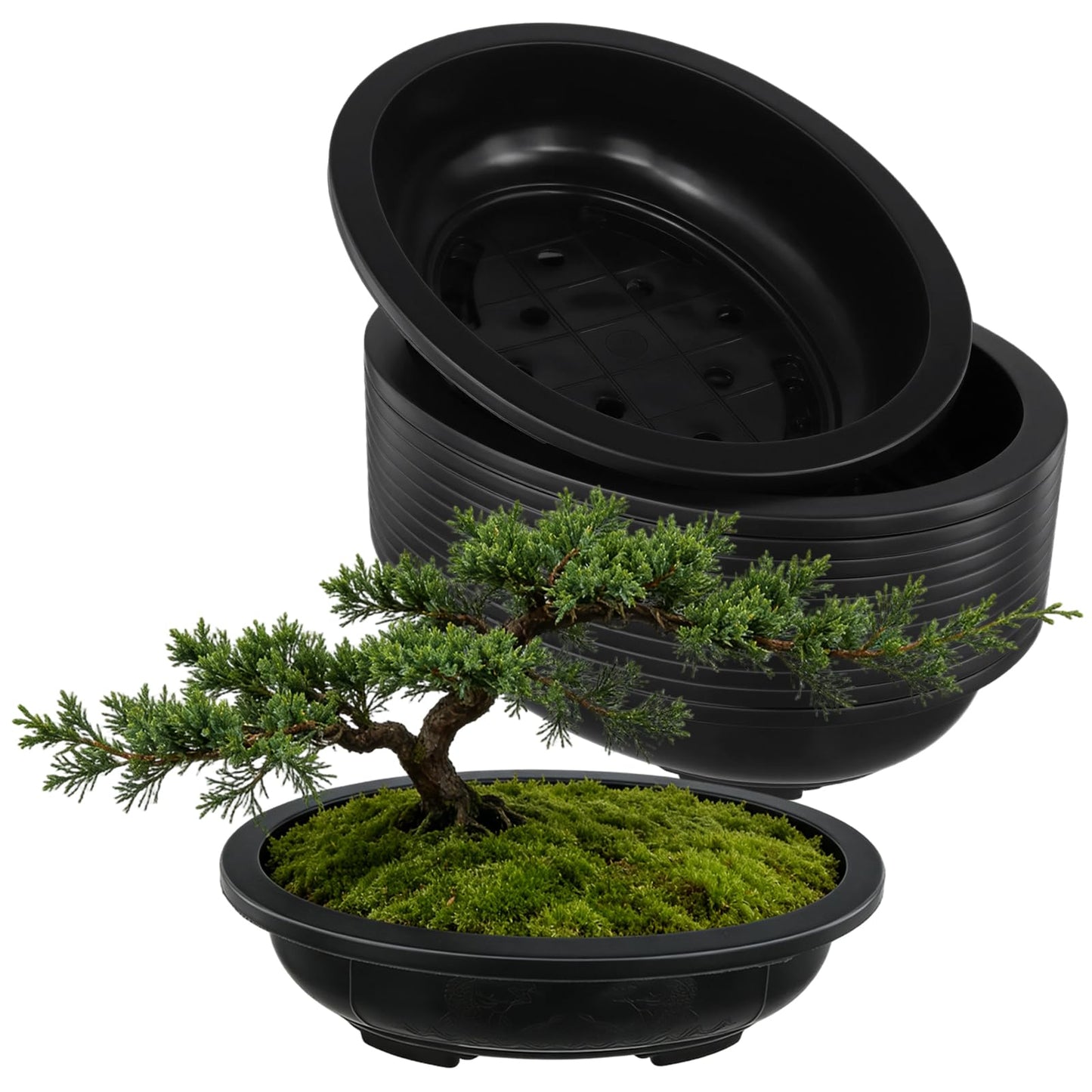 HAKZEON 12 Pcs 12 Inch Bonsai Training Pots, Matte Finish Plastic Oval Bonsai Training Pots with Drainage Hole, Oval Planters Shallow for Balcony Garden Nursery, Home Succulent, Indoor Plants, Black