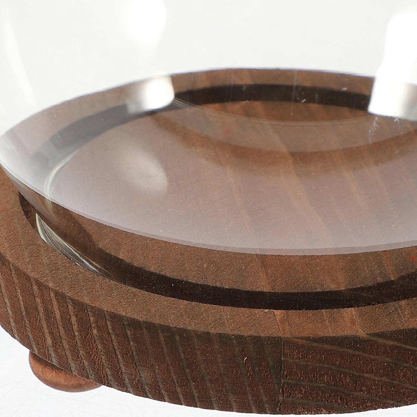 FESTFENDS Glass Cloche Dome Wooden Base Display Case for Preserved Flower and Succulent Craft Decoration